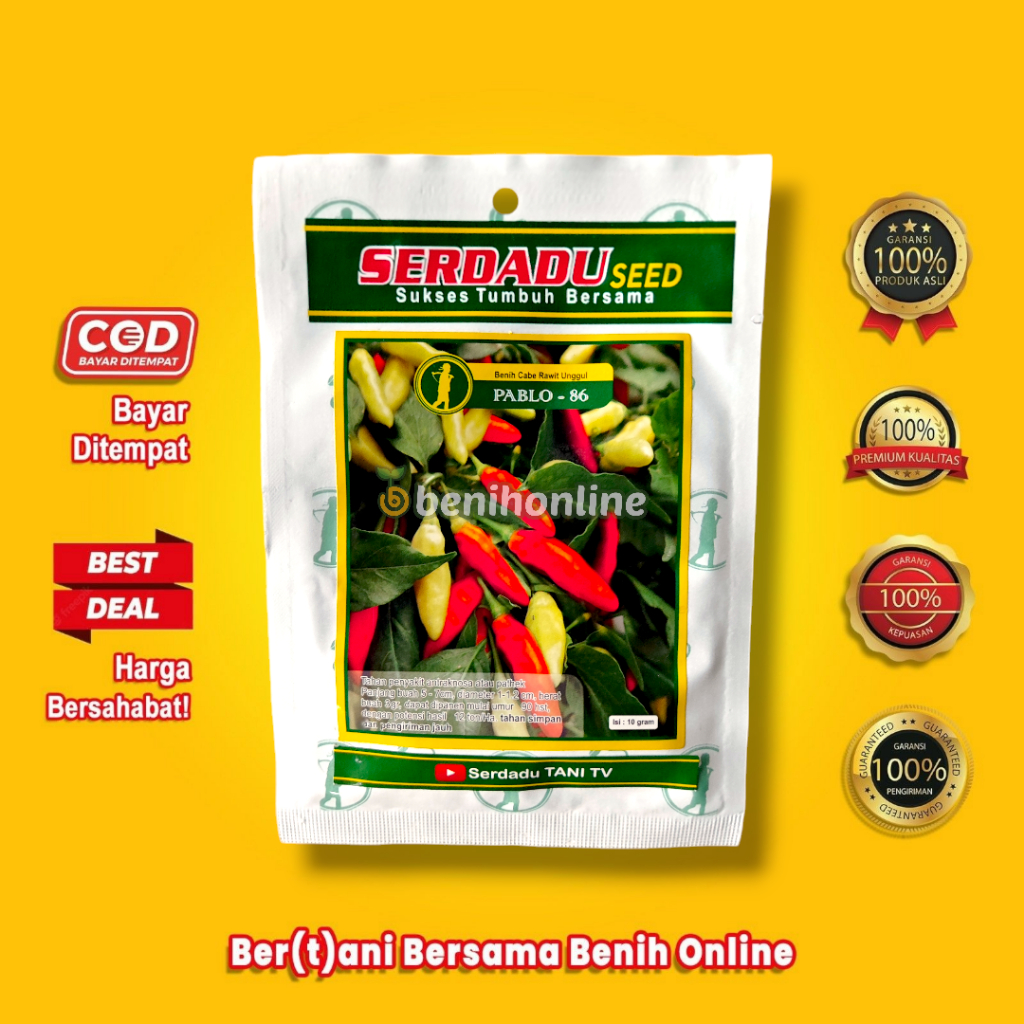 BENIH CABAI RAWIT UNGGUL PABLO 86 10 GRAM Serdadu Seed