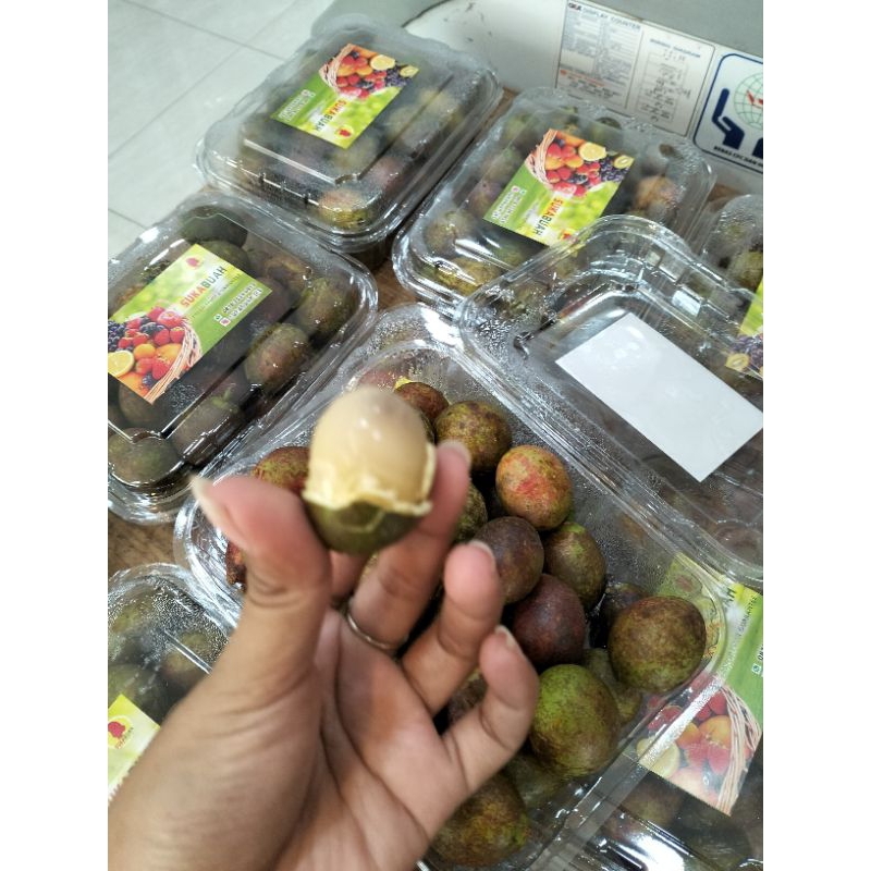 

MATOA PAPUA - SERBA BUAH