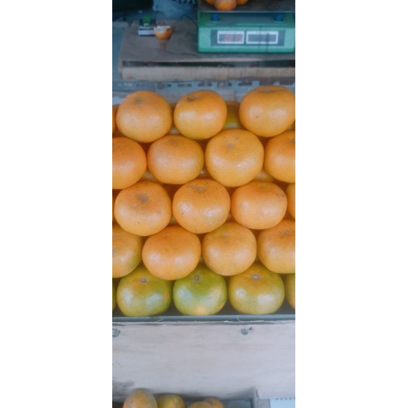 

Jeruk Siam Bali Maniss 1kg