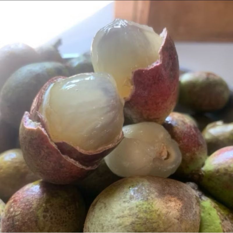 

Buah matoa manis fresh_2kg