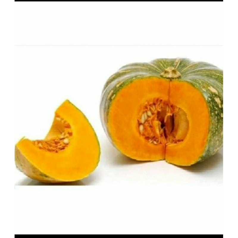 

promo 50 biji labu kuning tebal