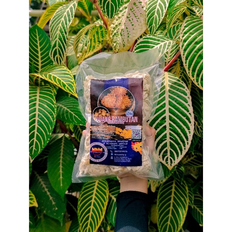 

udang rambutan isi 6 dan 12