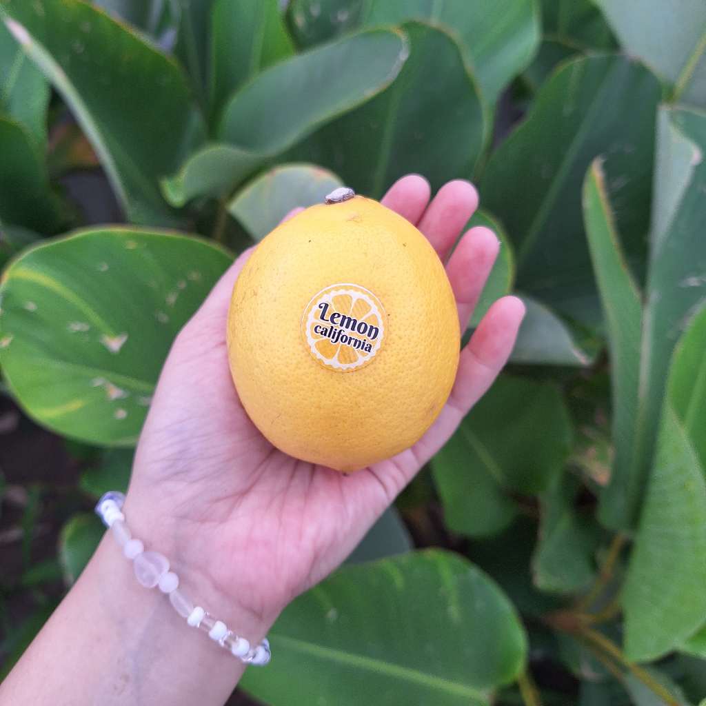 

Lemon California Grade A 1Kg