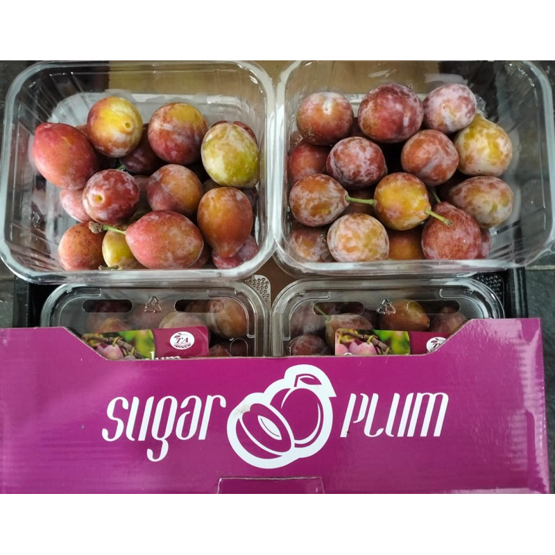 sugar plum buah plum manis