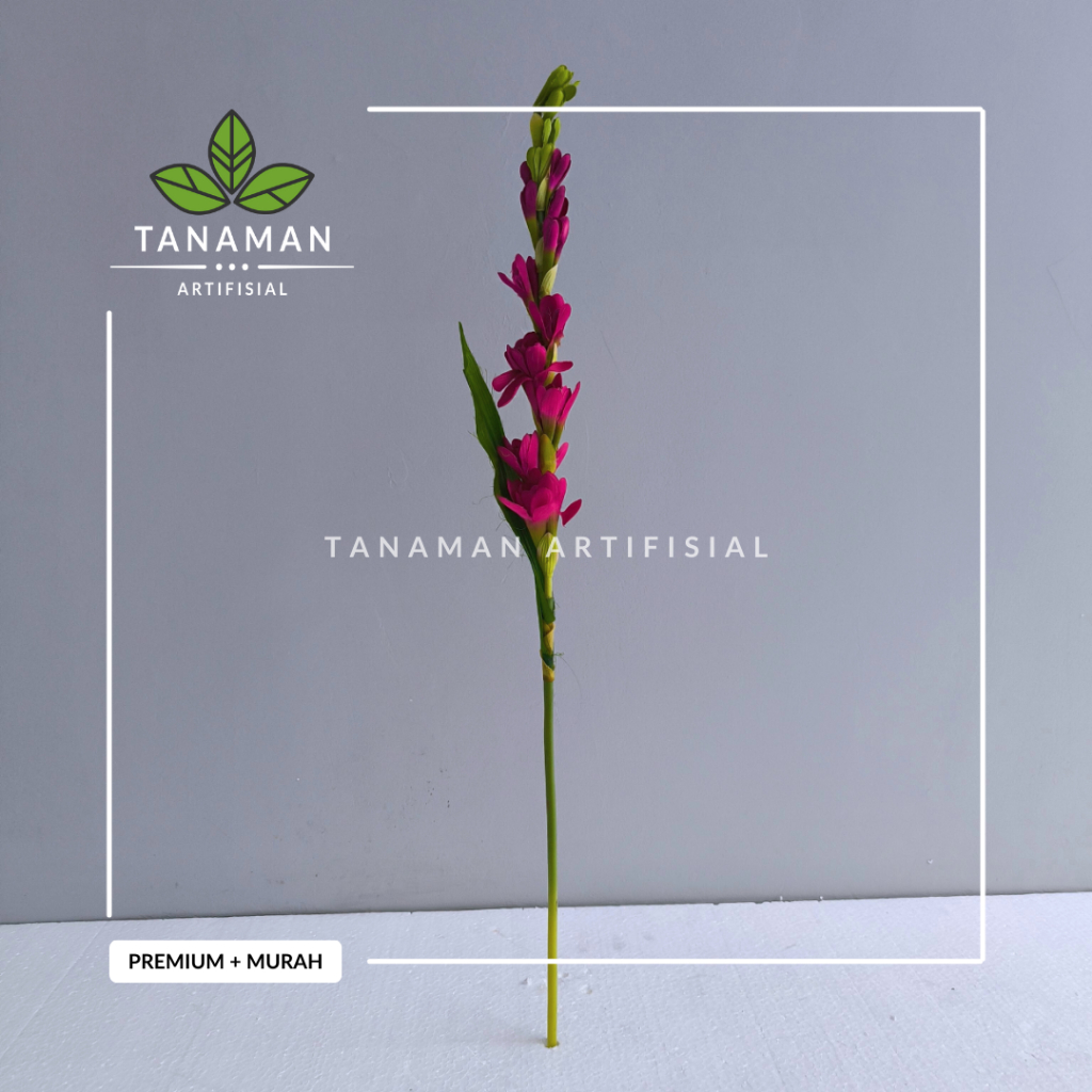 Tanaman Hias Artifisial Bunga Sedap Malam Merah Bahan Plastik + Latex Premium + 12 Cabang Bunga