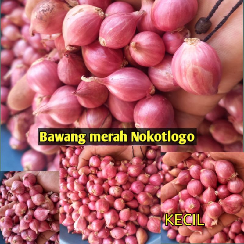 

Bawang merah paling murah 1kg