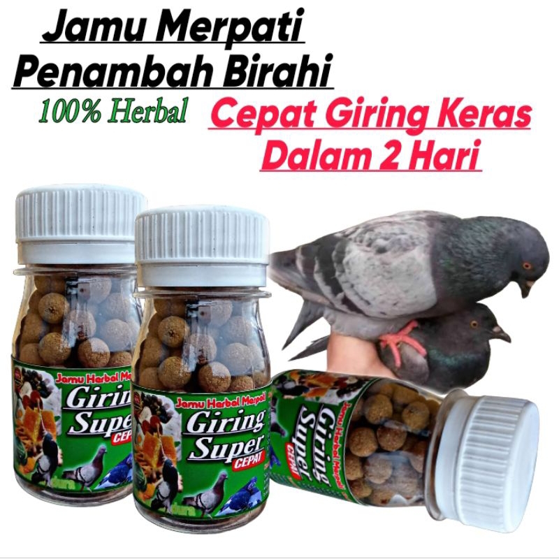JAMU MERPATI GIRING SUPER CEPAT EXTRA ginseng teki sarang walet tetawan pil edan Alus hff dsm rjb rb
