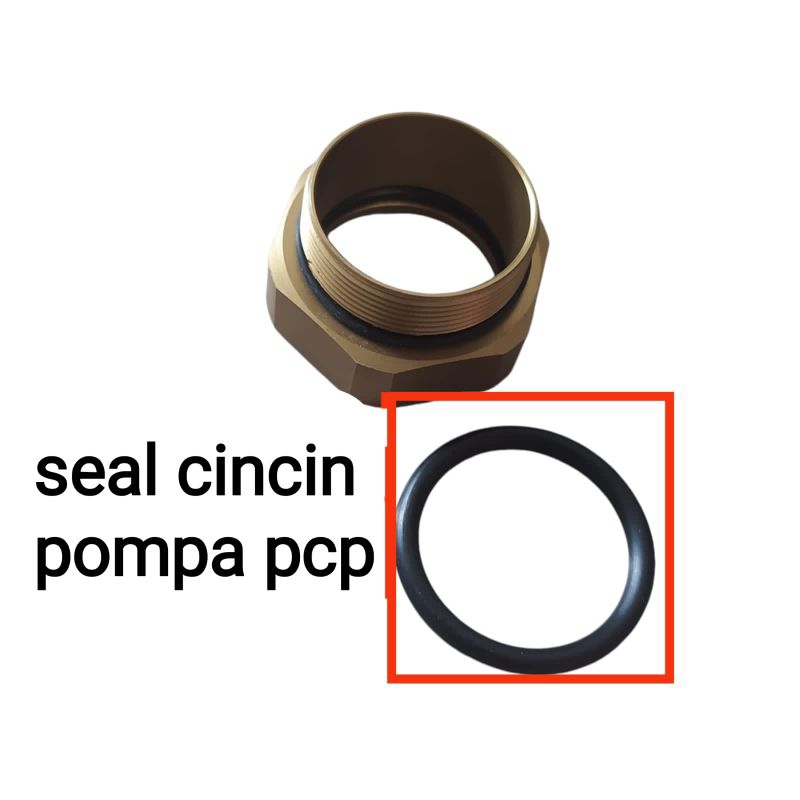 SEAL POMPA PCP,O-RING POMPA PCP, SEAL CINCIN POMPA PCP, SEAL POMPA PCP ISI 10 PCS