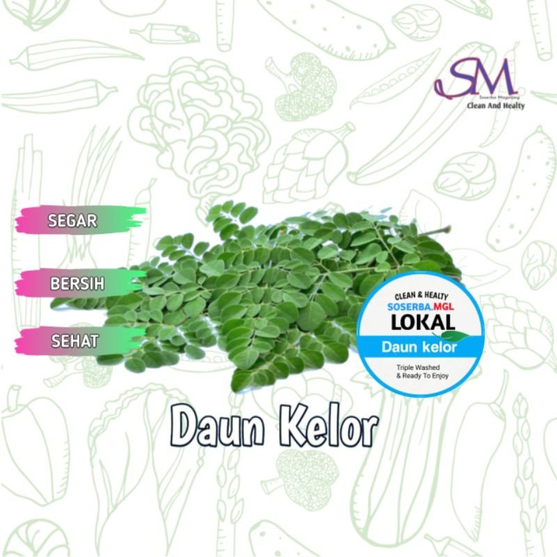 

Daun Kelor hijau fresh