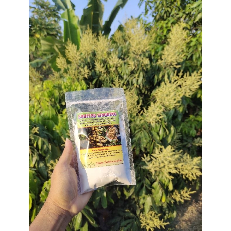 PUPUK BOSTER KELENGKENG KCLO3 MURNI