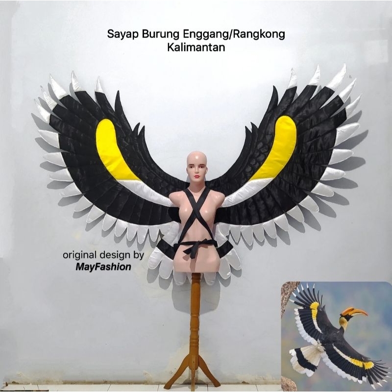 SAYAP KHAS BURUNG ENGGANG KALIMANTAN / RANGKONG KALIMANTAN
