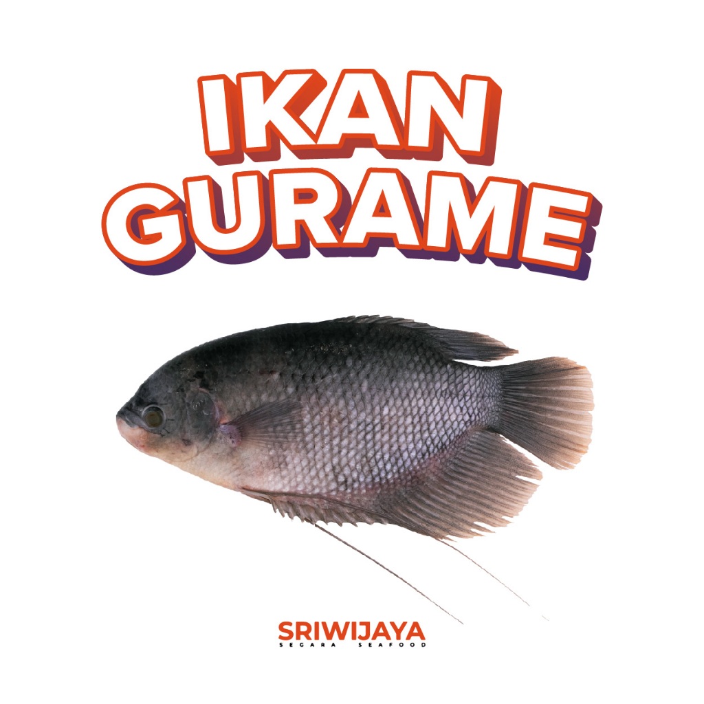 

Ikan GURAME