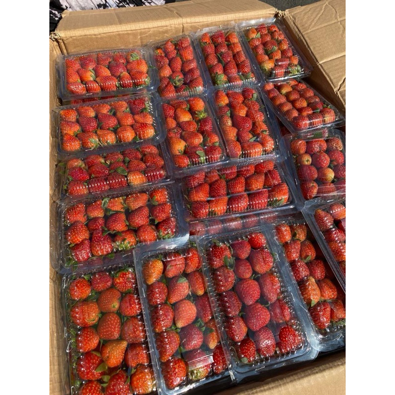 

Stroberi Berat 250 Gram