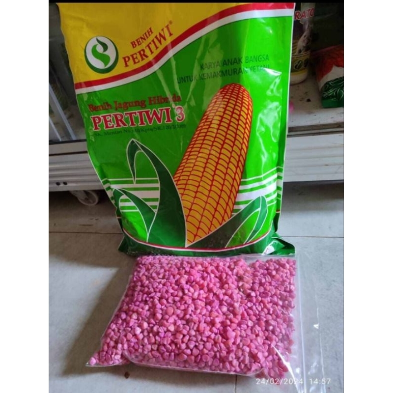 bibit jagung pertiwi 3 eceran 1kg.exp 28 5 2025 asli