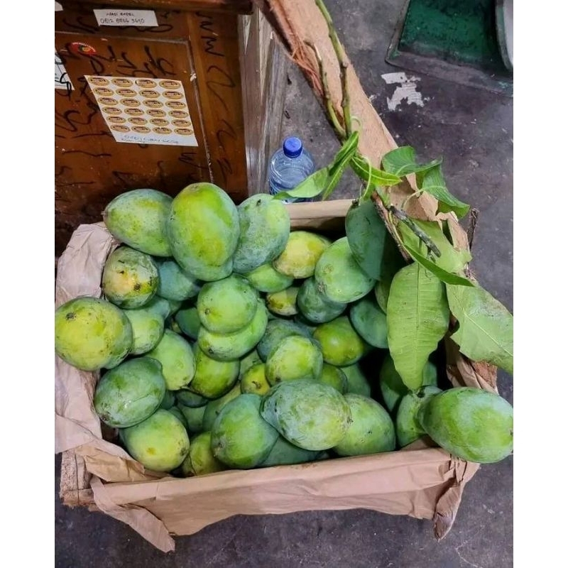 

MANGGA ARUMANIS ASLI INDRAMAYU 5KG