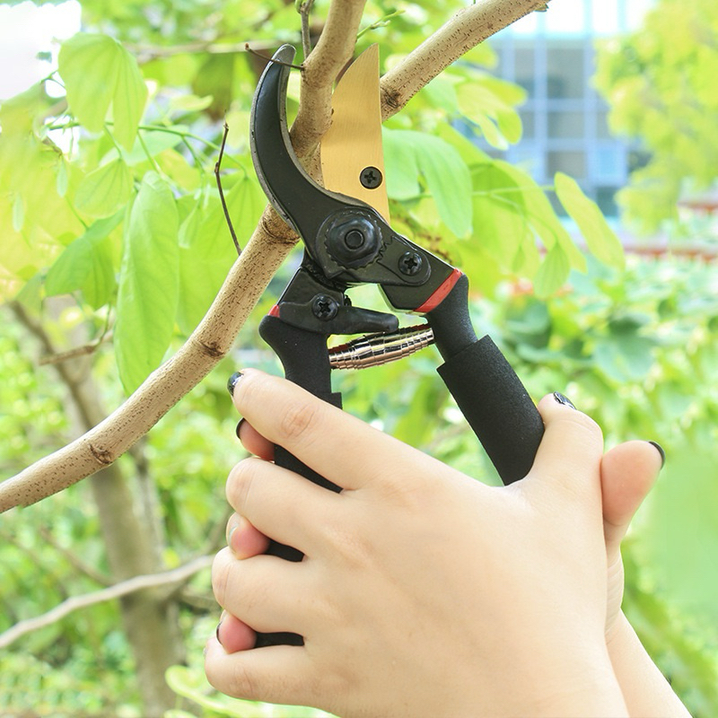 Gunting Dahan / Ranting Bunga /