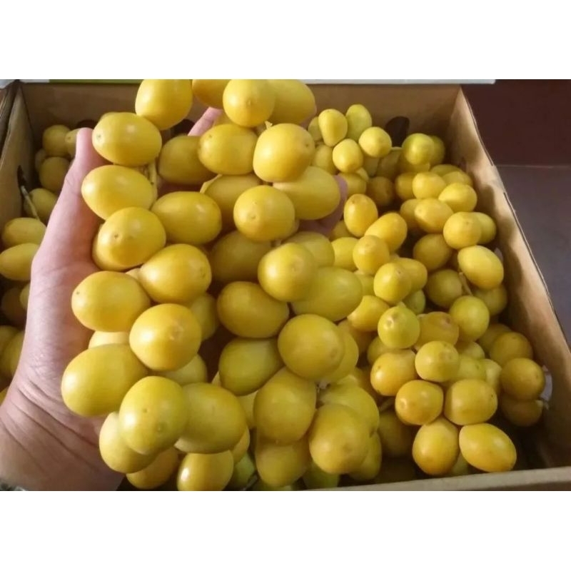 

Kurma Muda Promil Fresh