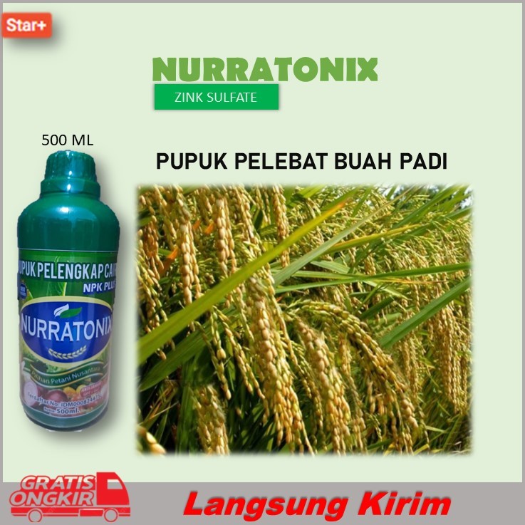 Pupuk Pelebat Padi PUPUK PELENGKAP CAIR NPK PLUS ANTI JAMUR ZPT + GA7 NURATONIX 500ML