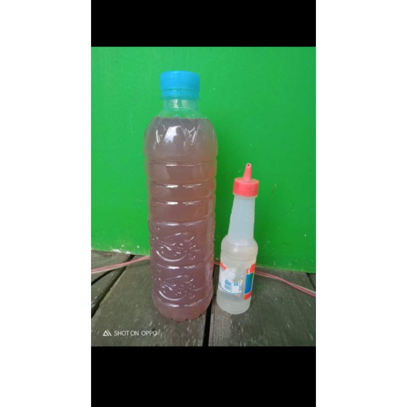Resin buat cetak molding softfrog