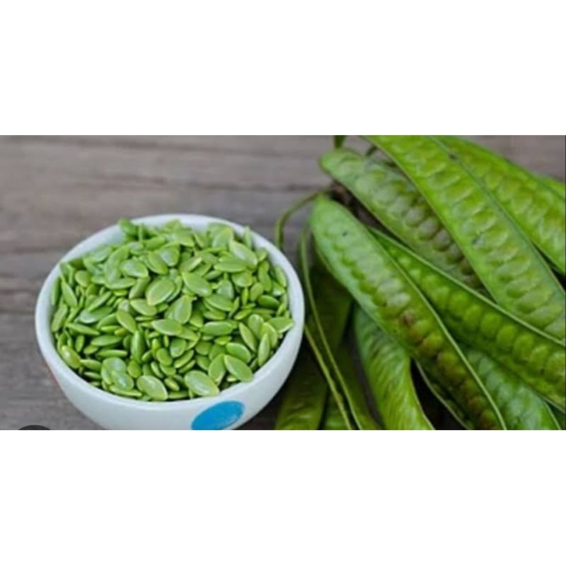 

Pete cina lamtoro / Pete cina sayur mayur 250 gram