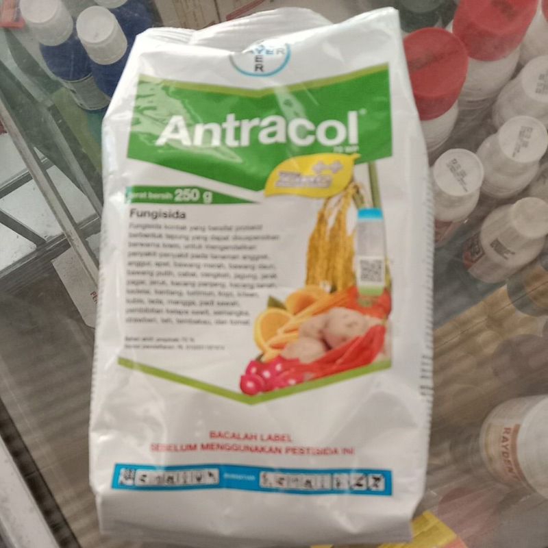 FUNGISIDA ANTRACOL 250 GR