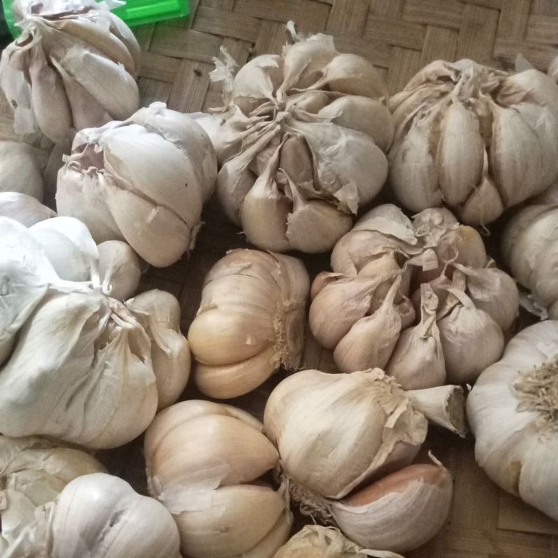 

bawang putih