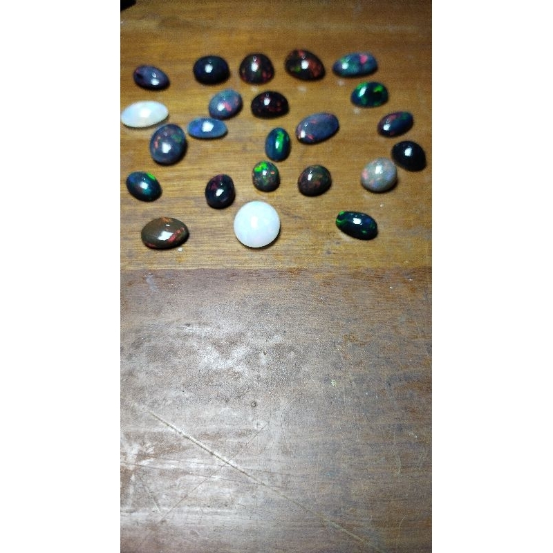 Live Black Opal Afrika