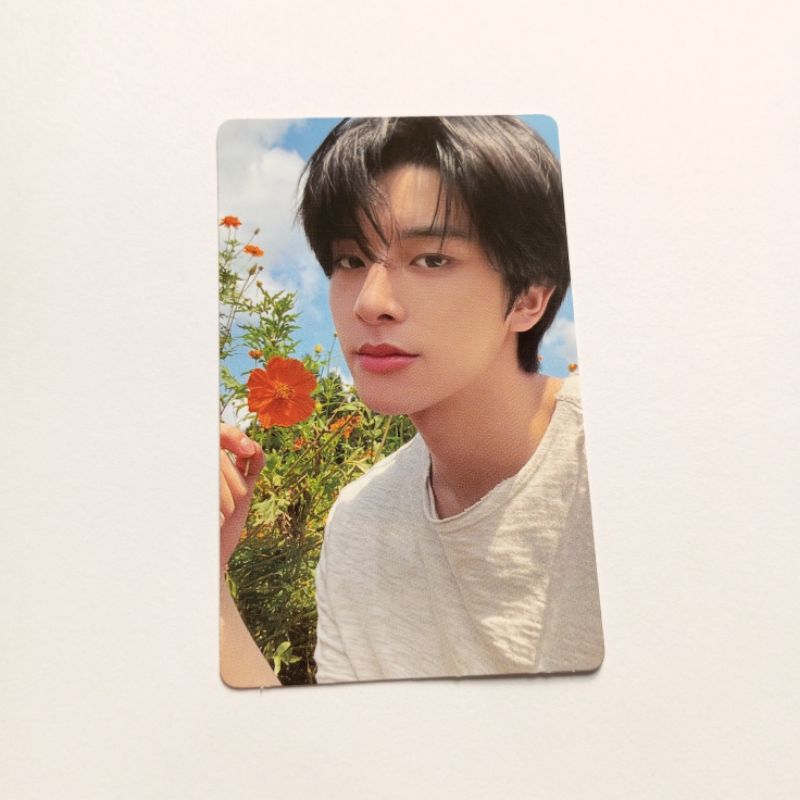 pc jake official bunga weverse wv random photocard orange blood ob pob bene enhypen