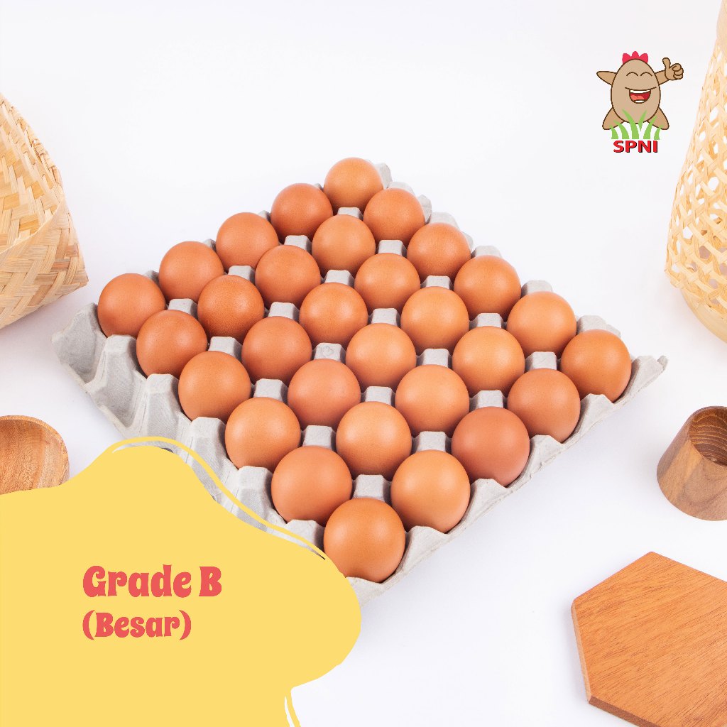

New // Telur Ayam Spni Besar (Grade B 60 Butir) Paket 2 Papan // 100% Original