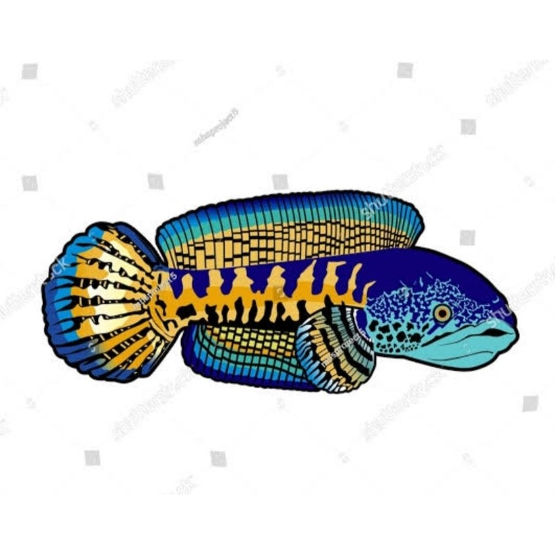 sticker andrao pair wc