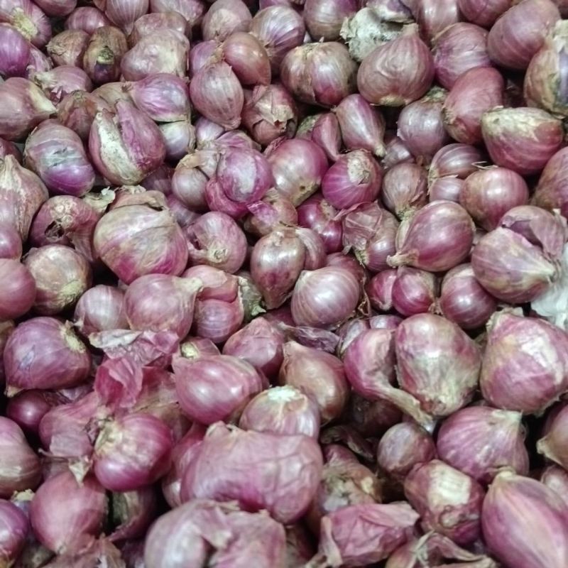 

Bawang Merah (100gr, 250gr, 500gr) - Toko Buah Darto Jaya