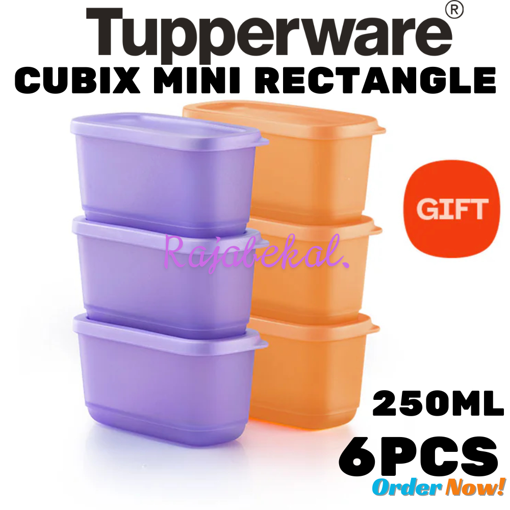 PROMO Tupperware  Petite Square Rectangular PERSEGI PANJANG Petite Fiesta Cubix Mini Rectangle 250ml