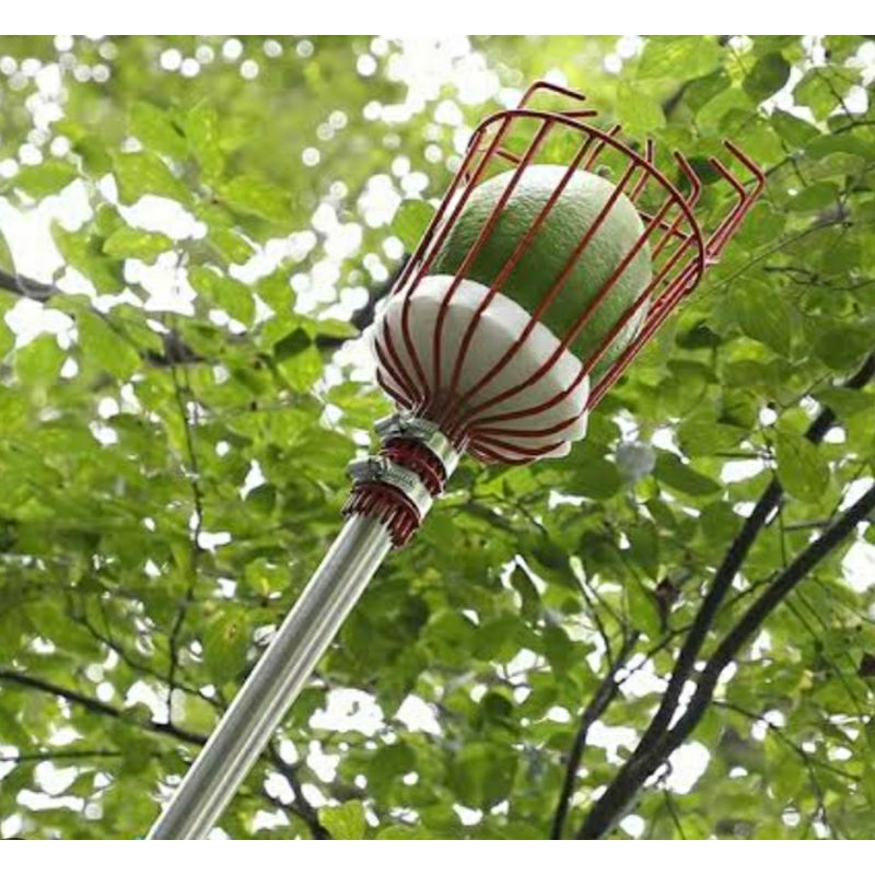 Galah Buah 8 Meter Adjustable