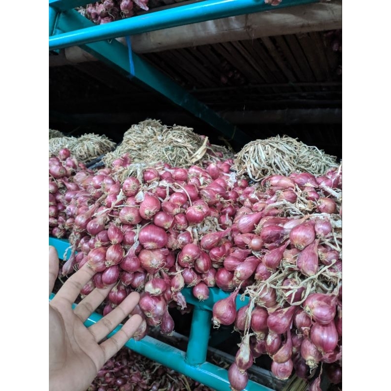 

Bawang merah kualitas bagus 1kg kecil uleg