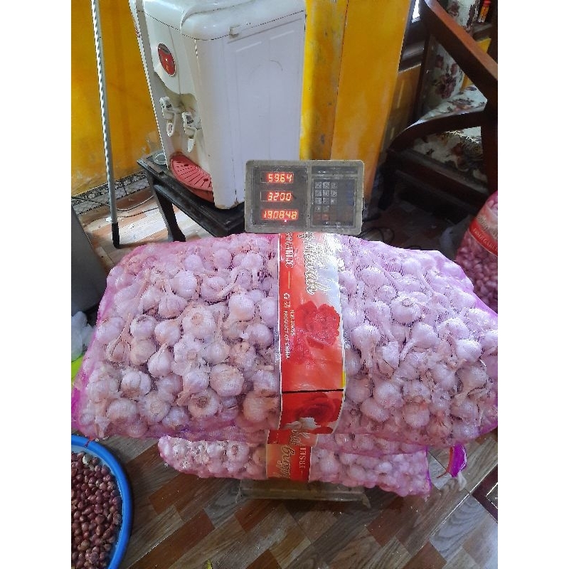 

Bawang Putih Kating Berkualitas / Bawang Kating 500 gram / Bawang Kating 1 kg / Bumbu Dapur