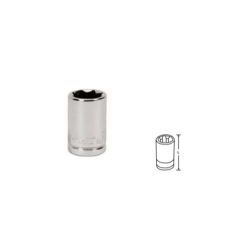 1/4" Double Square Socket, 8-Point, BLPS81414, Bluepoint