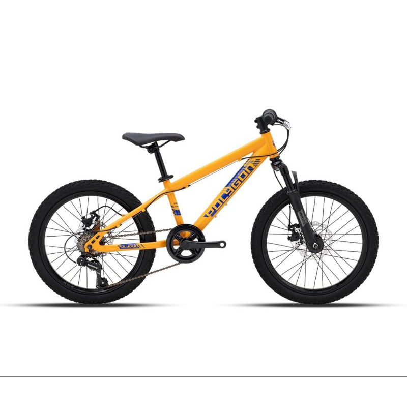 Sepeda gunung Anak MTB Polygon Maze 20" (ini sepeda ANAK)
