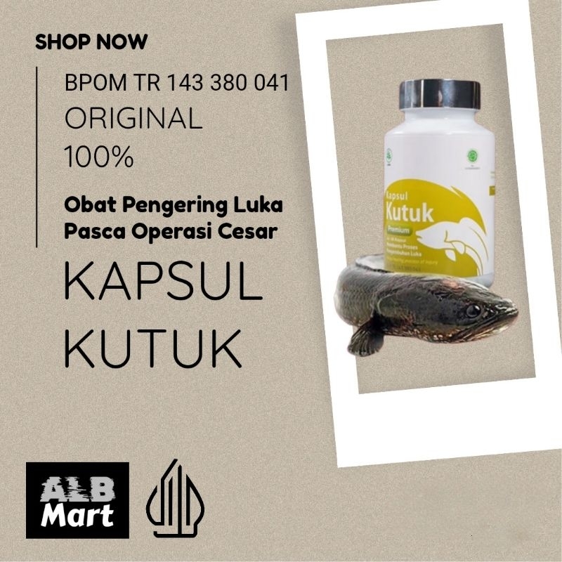 Obat Herbal Pengering Luka Pasca Operasi Cecar Extrak Albumin Kutuk Original [TERLARIS] Kapsul Kutuk