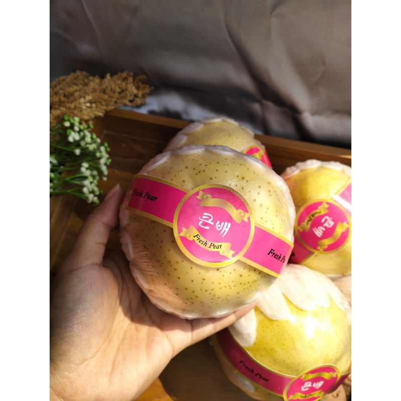 

PEAR GOLDEN - HALONA