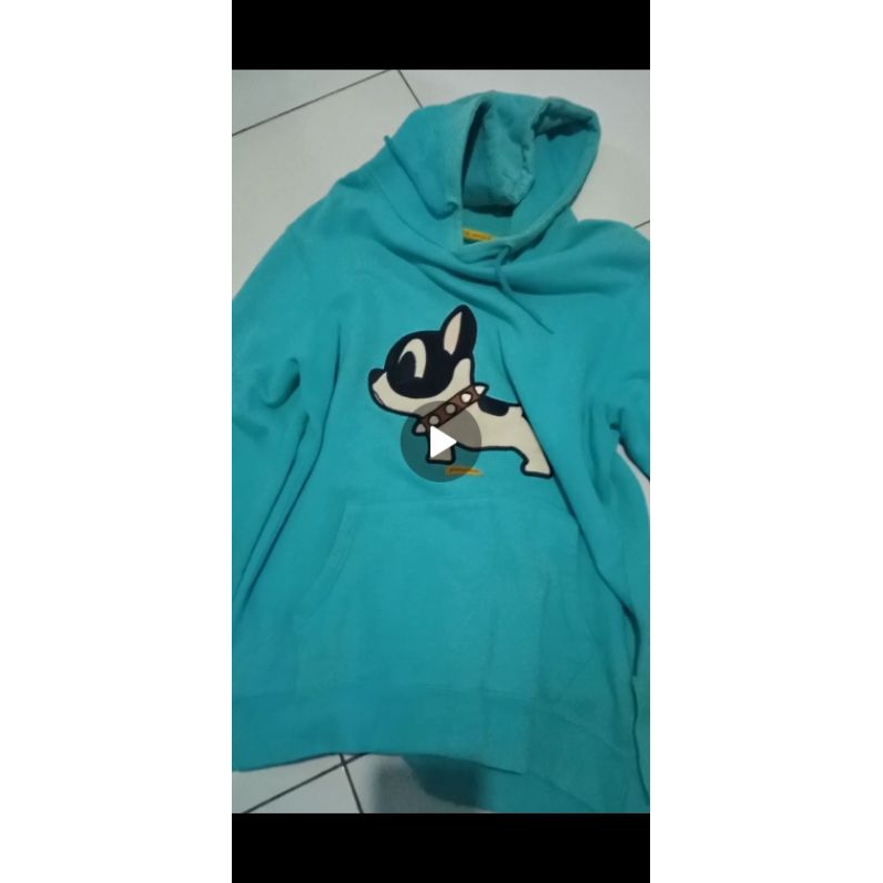 Hoodie pancoat dog