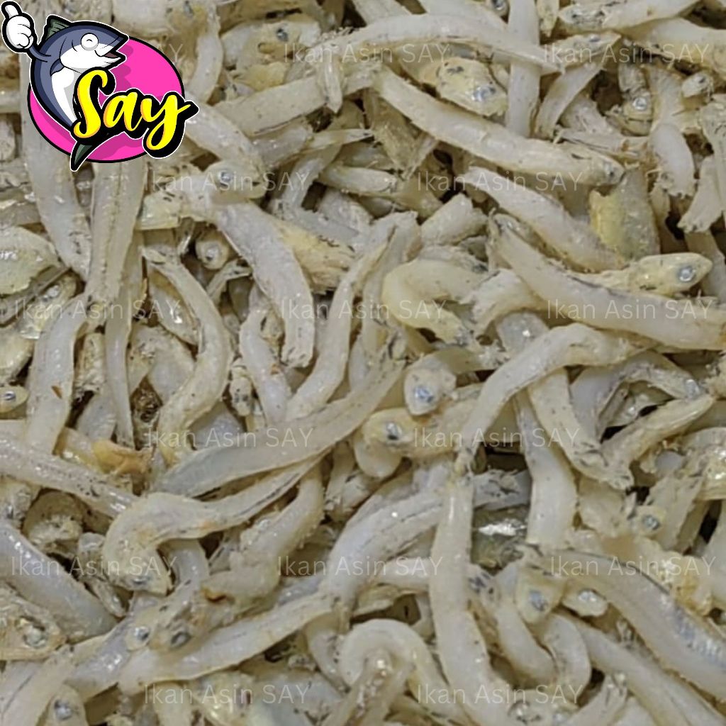 

Ikan Asin Teri Nasi Medan Super Size Jumbo 500g