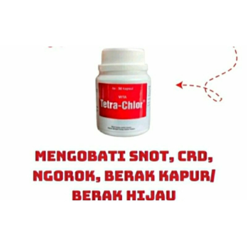Tetra-Chlor Antibiotik Unggas Ayam Burung