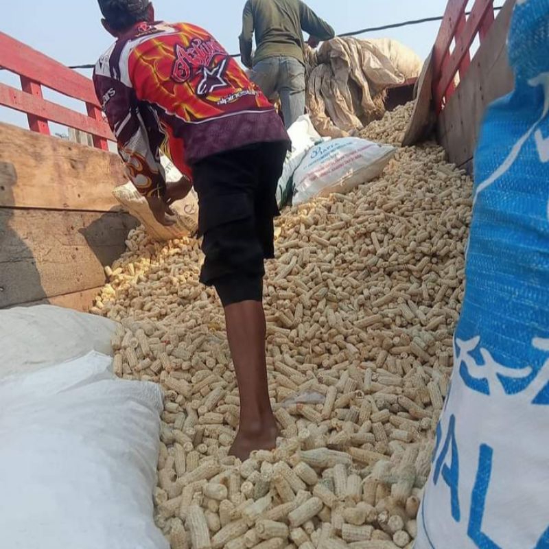 BONGGOL JAGUNG KERING 50KG