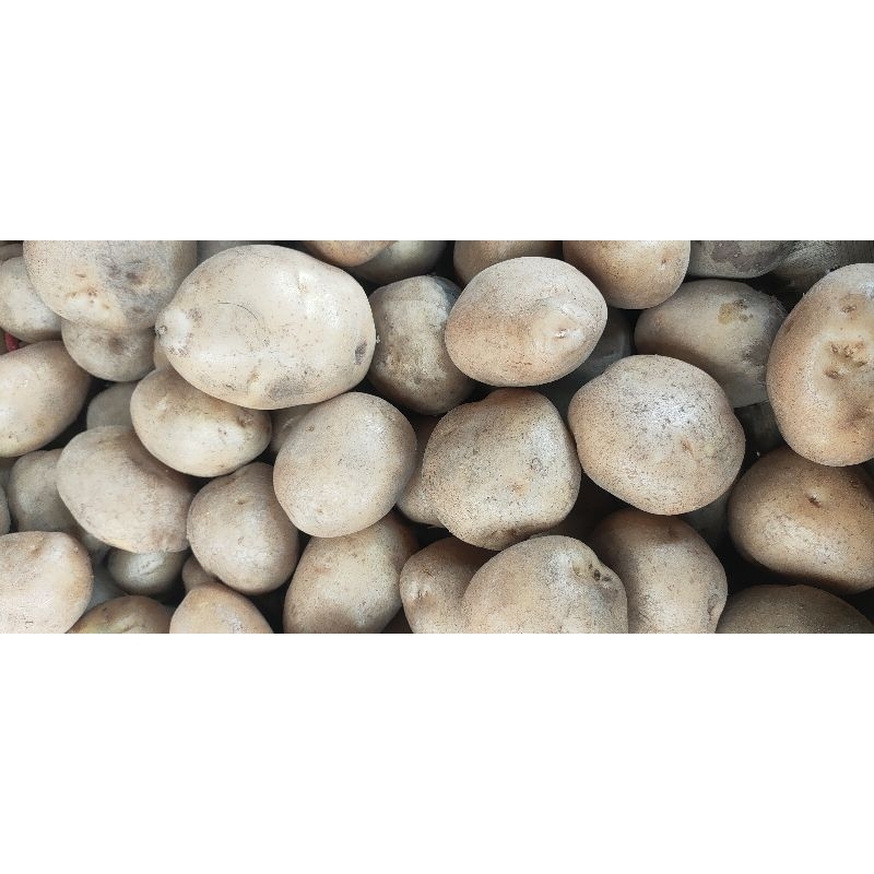

kentang dieng 500g