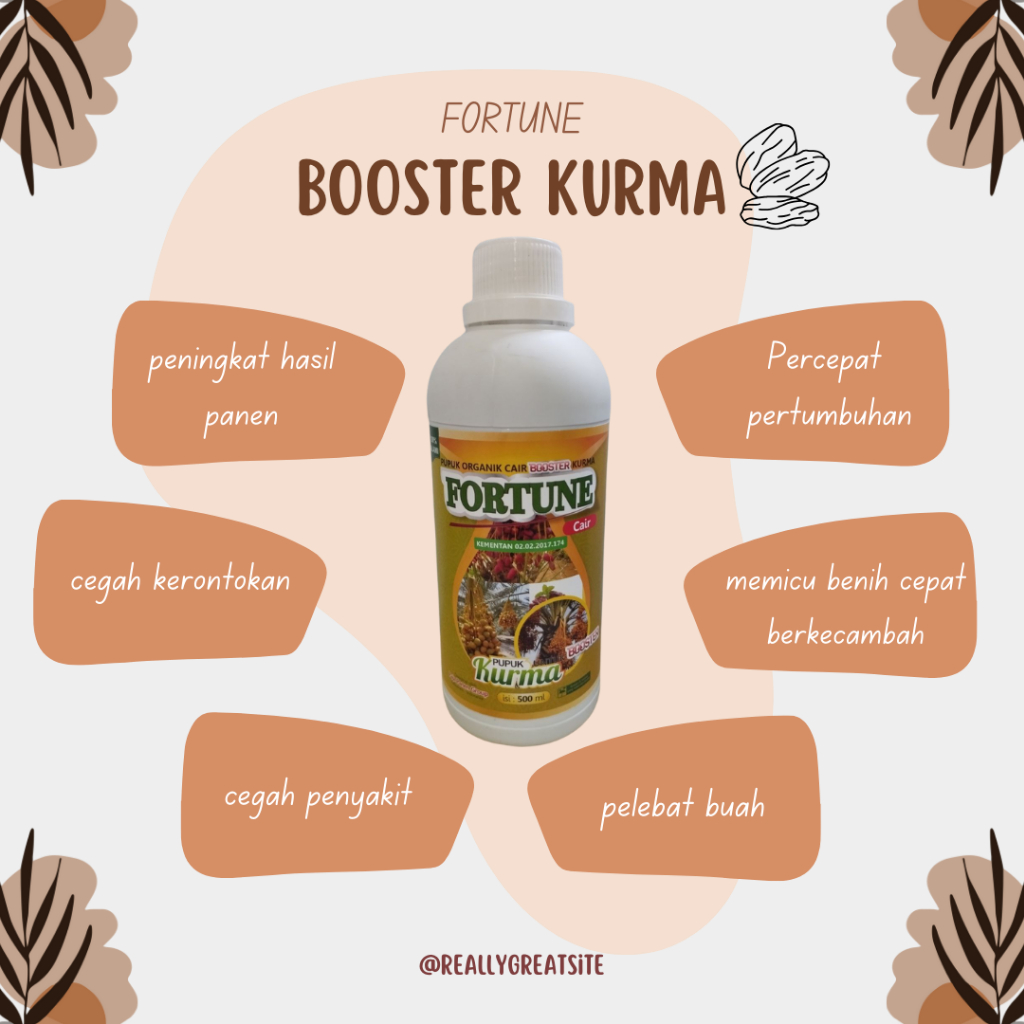 Pupuk Perangsang Buah untuk Pohon Kurma Yang Sudah Lama Belum berbuah