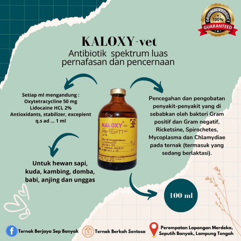 Antibiotik - KALOXY-vet untuk ternak(sapi,kambing,babi,domba,kuda,anjing)