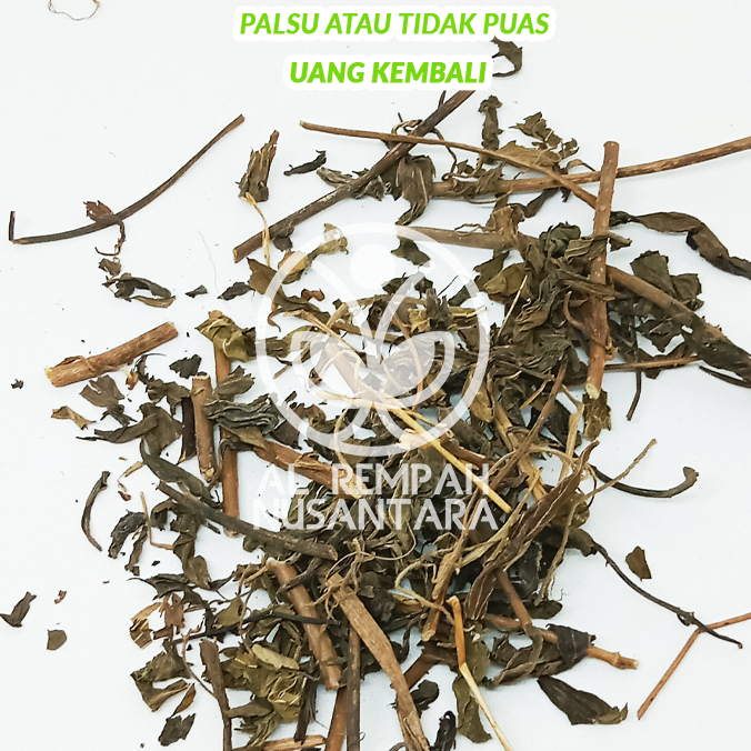 

Kumis Kucing Kering 500gr atau Daun Remujung Organik