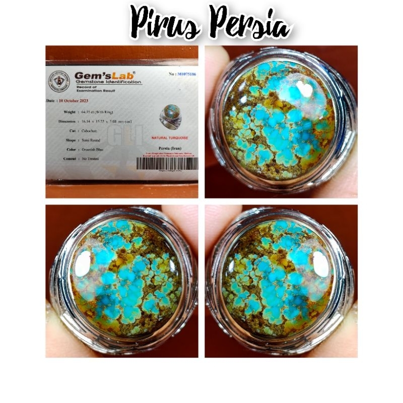 PIRUS PERSIA URAT EMAS KUNO full porslen ya