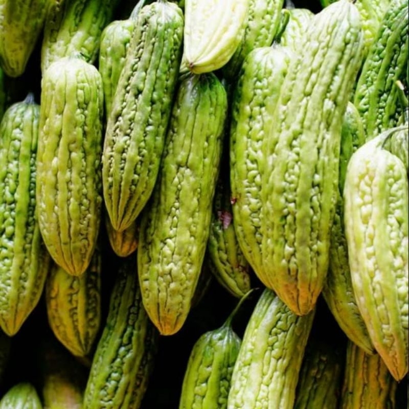 

Sayur Pare fresh 250 gr-1000 gr