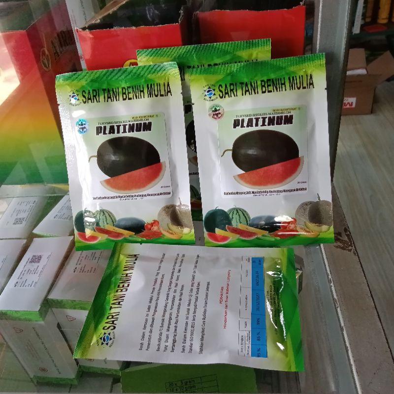 Benih Bibit Semangka Non Biji Platinum F1, Perawatan Mudah, Tipe jumbo Lonjong Oval. isi satu butir 
